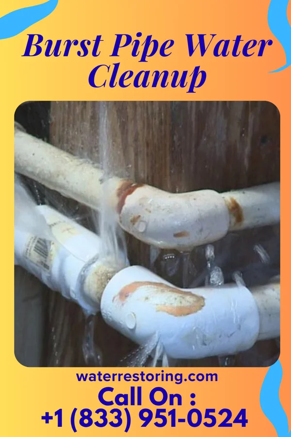 Burst Pipe Water Cleanup in Thomaston, NY