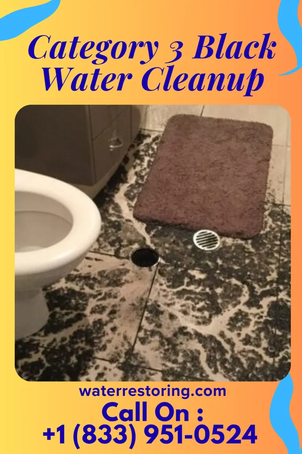 Category 3 Black Water Cleanup in Thomaston, NY