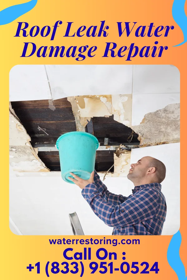 Roof Leak Water Damage Repair in Thomaston, NY