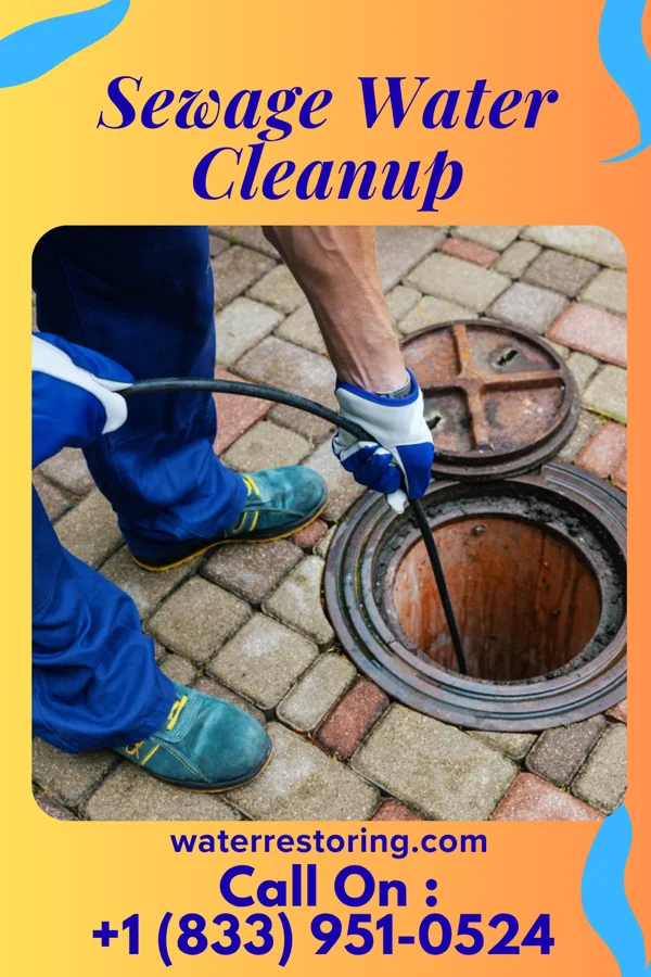 Sewage Water Cleanup in Thomaston, NY